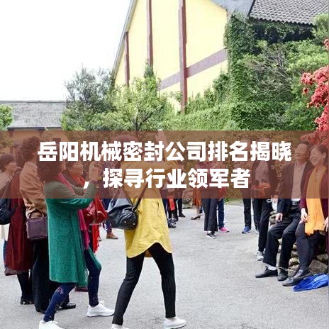 岳阳机械密封公司排名揭晓，探寻行业领军者