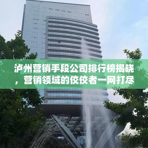 泸州营销手段公司排行榜揭晓，营销领域的佼佼者一网打尽！