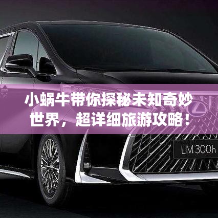 小蜗牛带你探秘未知奇妙世界，超详细旅游攻略！
