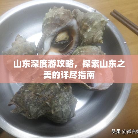 山东深度游攻略，探索山东之美的详尽指南