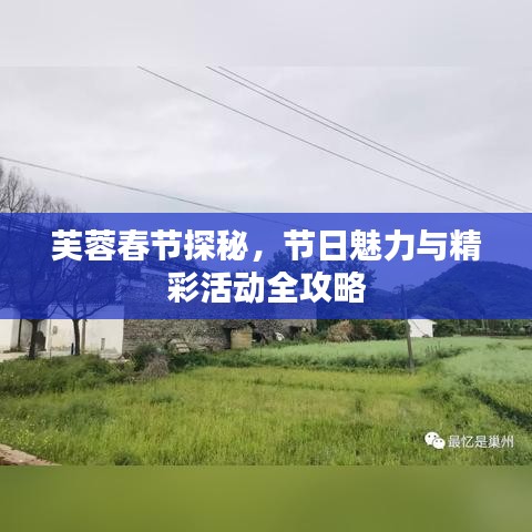 芙蓉春节探秘，节日魅力与精彩活动全攻略
