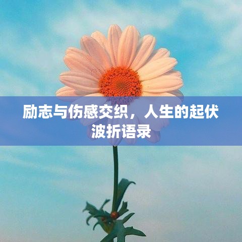 励志与伤感交织，人生的起伏波折语录