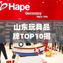 山东玩具品牌TOP10揭秘，热销玩具的魅力与特色榜单