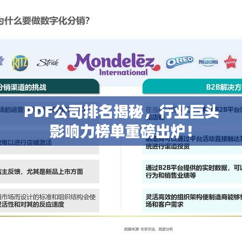 PDF公司排名揭秘，行业巨头影响力榜单重磅出炉！