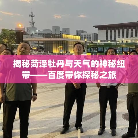 揭秘菏泽牡丹与天气的神秘纽带——百度带你探秘之旅