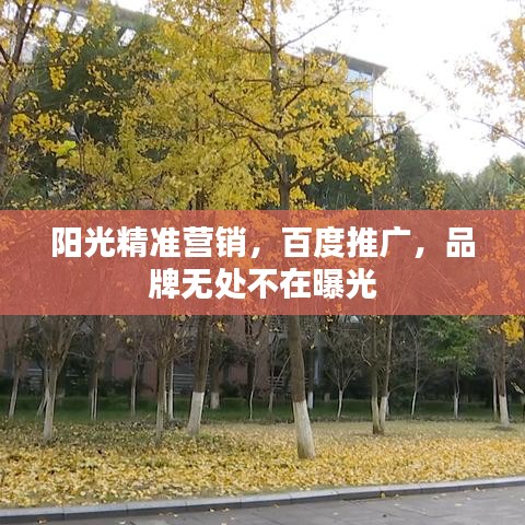 阳光精准营销，百度推广，品牌无处不在曝光