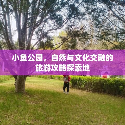 小鱼公园，自然与文化交融的旅游攻略探索地