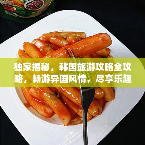 独家揭秘，韩国旅游攻略全攻略，畅游异国风情，尽享乐趣无限！