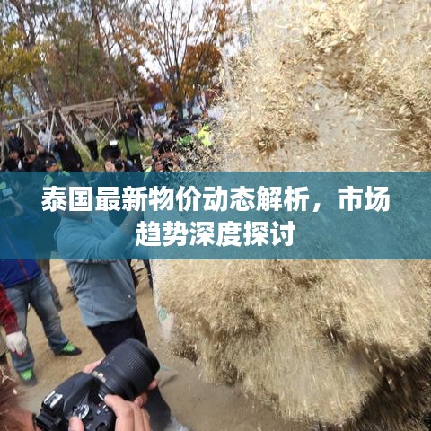 泰国最新物价动态解析，市场趋势深度探讨