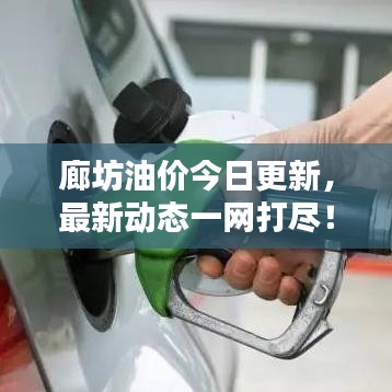 廊坊油价今日更新，最新动态一网打尽！