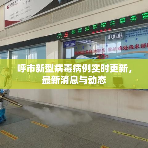 呼市新型病毒病例实时更新，最新消息与动态