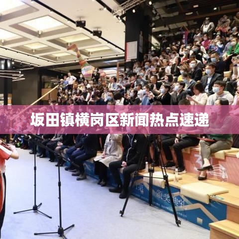 坂田镇横岗区新闻热点速递