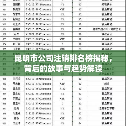 昆明市公司注销排名榜揭秘，背后的故事与趋势解读