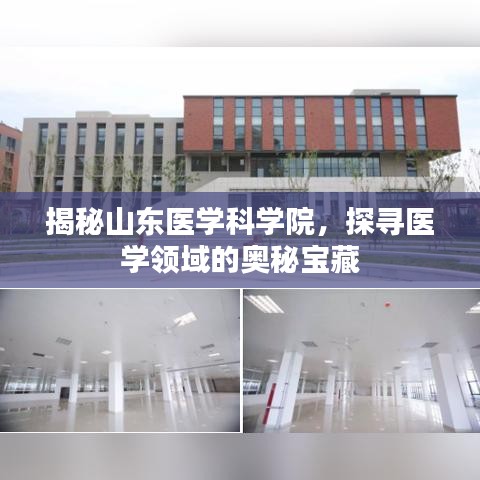揭秘山东医学科学院，探寻医学领域的奥秘宝藏