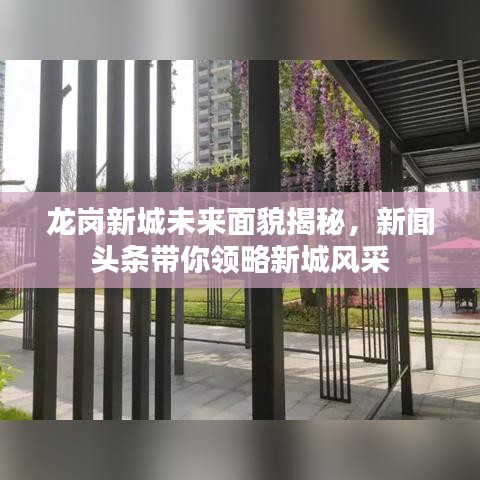 龙岗新城未来面貌揭秘，新闻头条带你领略新城风采