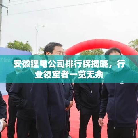 安徽锂电公司排行榜揭晓，行业领军者一览无余