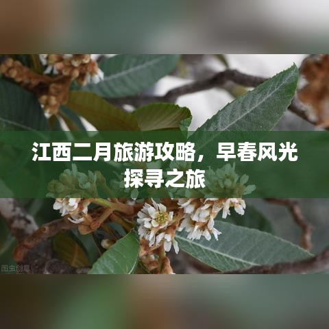 江西二月旅游攻略，早春风光探寻之旅