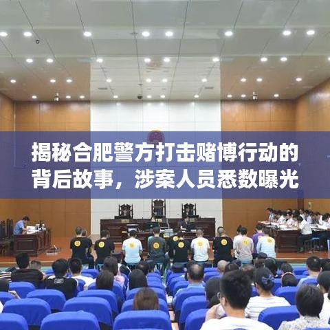 揭秘合肥警方打击赌博行动的背后故事，涉案人员悉数曝光