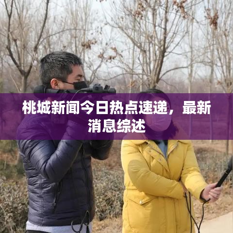 桃城新闻今日热点速递，最新消息综述