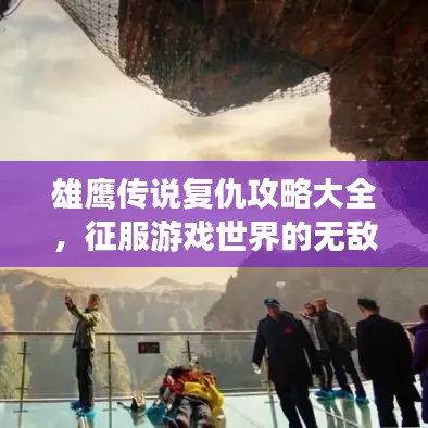 雄鹰传说复仇攻略大全，征服游戏世界的无敌秘籍！