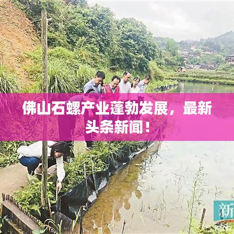 佛山石螺产业蓬勃发展，最新头条新闻！