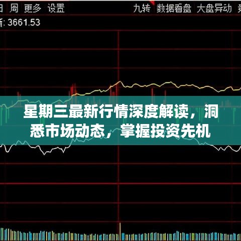 星期三最新行情深度解读，洞悉市场动态，掌握投资先机