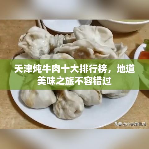 天津炖牛肉十大排行榜，地道美味之旅不容错过