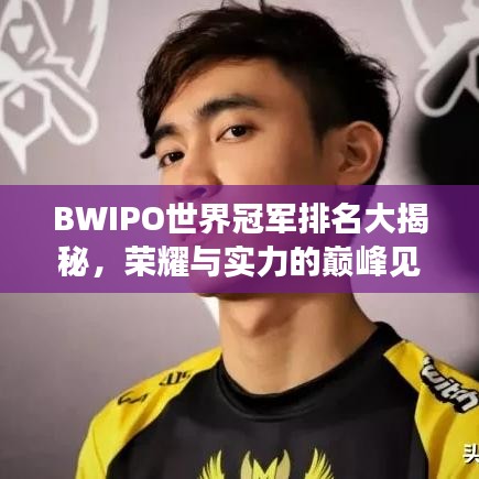 BWIPO世界冠军排名大揭秘，荣耀与实力的巅峰见证