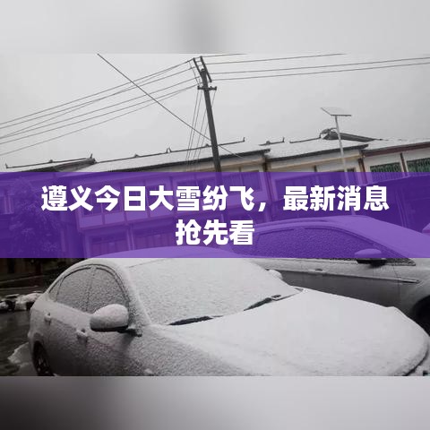 遵义今日大雪纷飞，最新消息抢先看