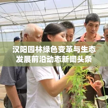 汉阳园林绿色变革与生态发展前沿动态新闻头条