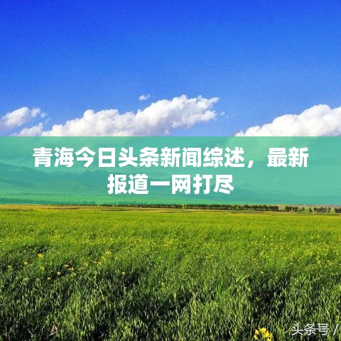 青海今日头条新闻综述，最新报道一网打尽