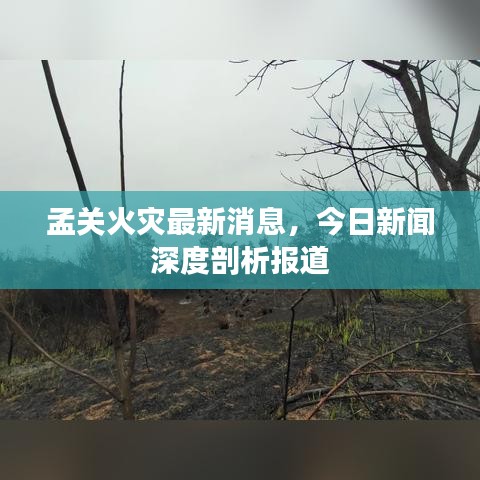 孟关火灾最新消息，今日新闻深度剖析报道