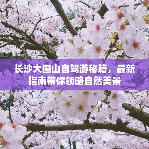 长沙大围山自驾游秘籍，最新指南带你领略自然美景
