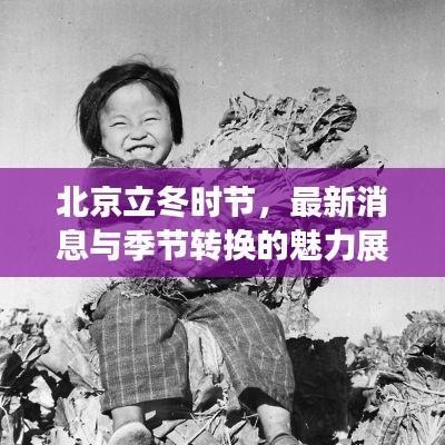 北京立冬时节，最新消息与季节转换的魅力展现