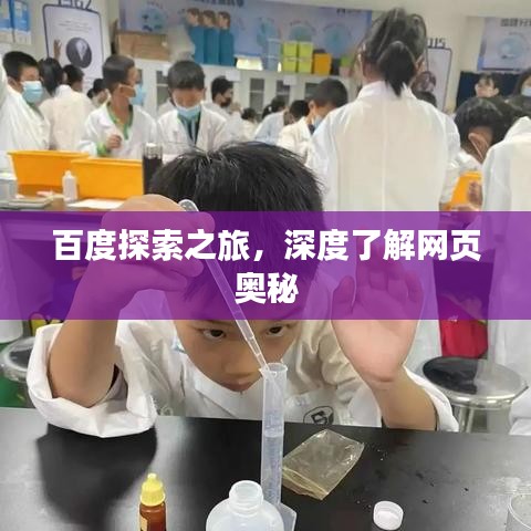 百度探索之旅，深度了解网页奥秘