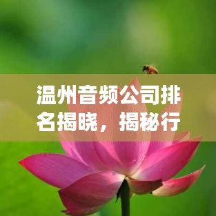 温州音频公司排名揭晓，揭秘行业领军者的成功秘诀！