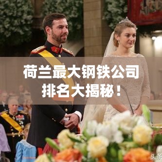 荷兰最大钢铁公司排名大揭秘！