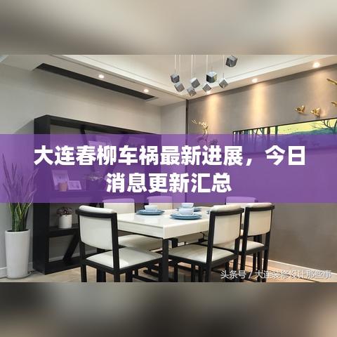 大连春柳车祸最新进展，今日消息更新汇总