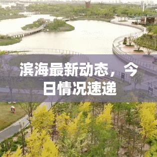 滨海最新动态，今日情况速递