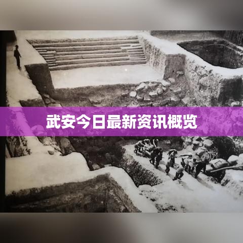 武安今日最新资讯概览
