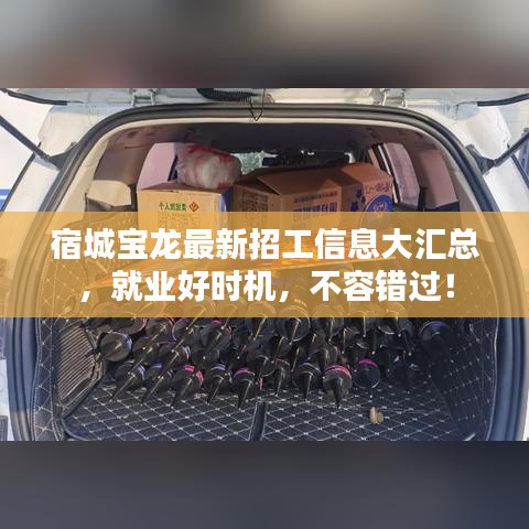 宿城宝龙最新招工信息大汇总，就业好时机，不容错过！