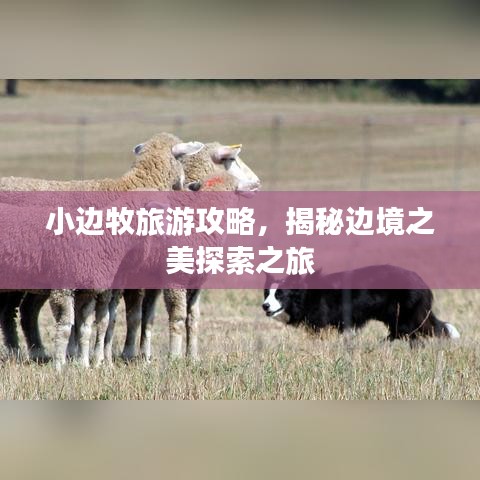 小边牧旅游攻略，揭秘边境之美探索之旅