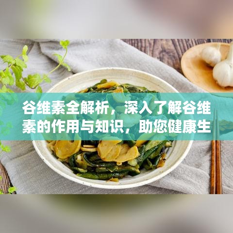 谷维素全解析，深入了解谷维素的作用与知识，助您健康生活！