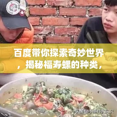 百度带你探索奇妙世界，揭秘福寿螺的种类，开启一场发现之旅！