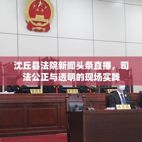 沈丘县法院新闻头条直播，司法公正与透明的现场实践