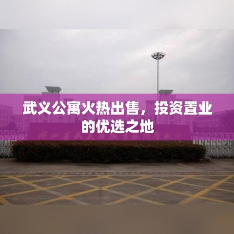 武义公寓火热出售，投资置业的优选之地