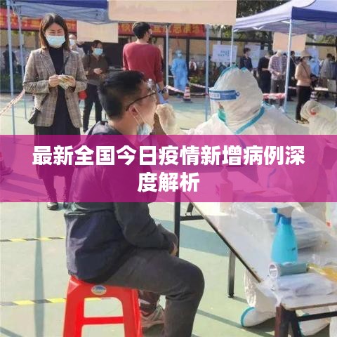 最新全国今日疫情新增病例深度解析