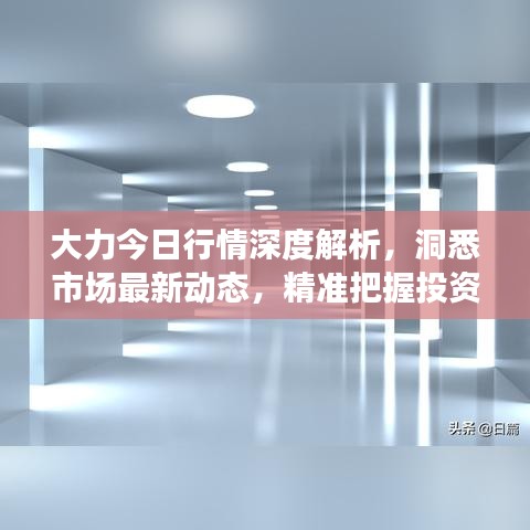 大力今日行情深度解析，洞悉市场最新动态，精准把握投资脉搏
