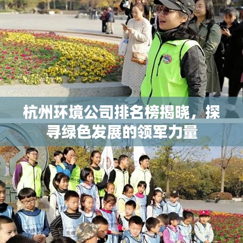 杭州环境公司排名榜揭晓，探寻绿色发展的领军力量