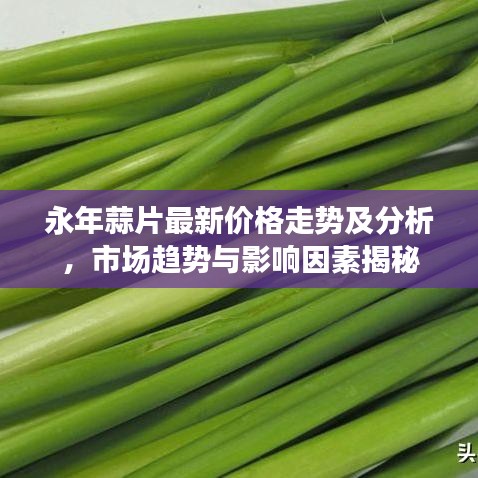 永年蒜片最新价格走势及分析，市场趋势与影响因素揭秘